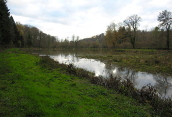 Le grand étang de Sainte-Geneviève vu ici au printemps 2022.